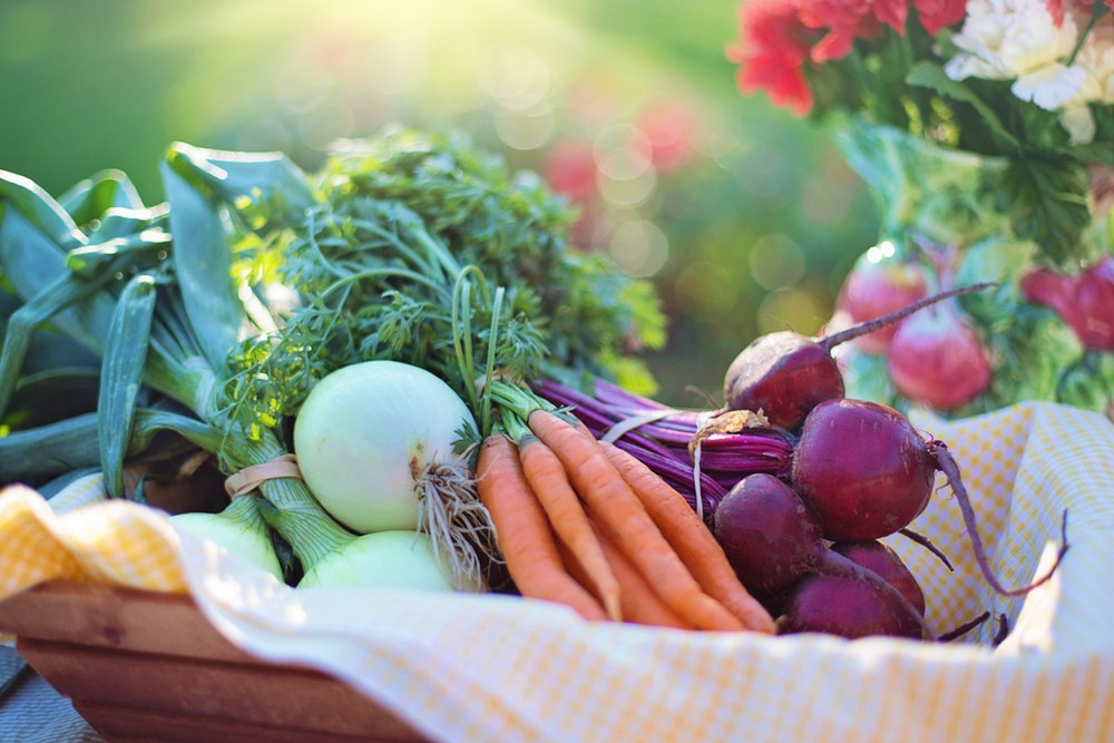 In-season fruits and veggies are a key part of senior nutrition.