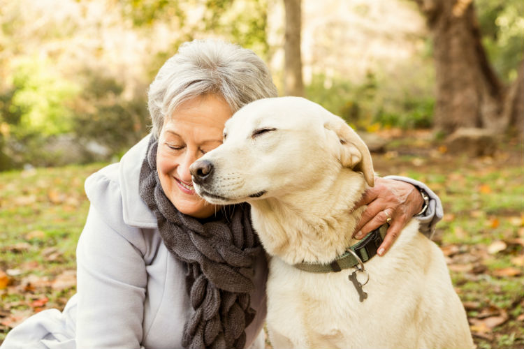 You've Got a Friend in Fido, Benefits of Pets for Seniors - Senior ...